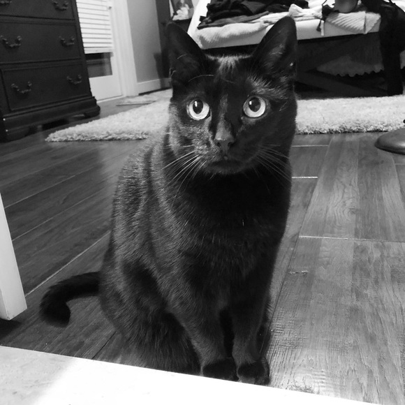 Meet your Posher, Christina - Picture 3 of 16